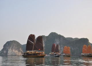 CATBA SAILING JUNK 2 DAYS 1 NIGHT & 3 DAYS 2 NIGHTS from 358 USD/PERSON only
